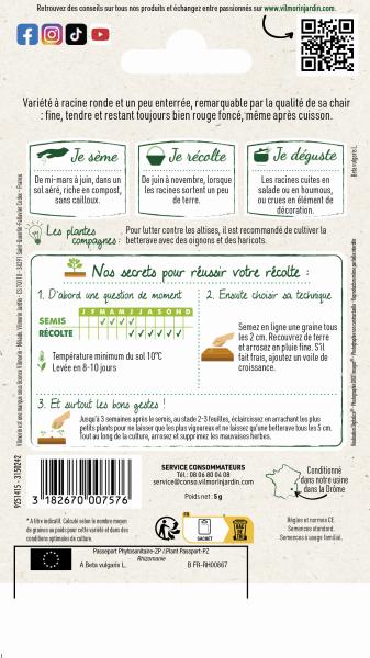Potagères - Betterave de Détroit 2 race Darko - MEDIA_PACKAGING_VERSO
